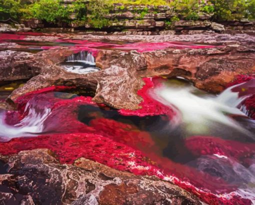 Cano Cristales Colombia Diamond Paintings