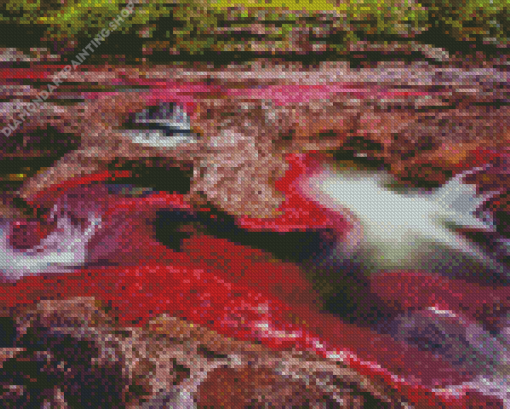 Cano Cristales Colombia Diamond Paintings