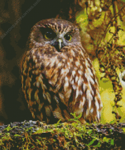 Cool Morepork Diamond Paintings