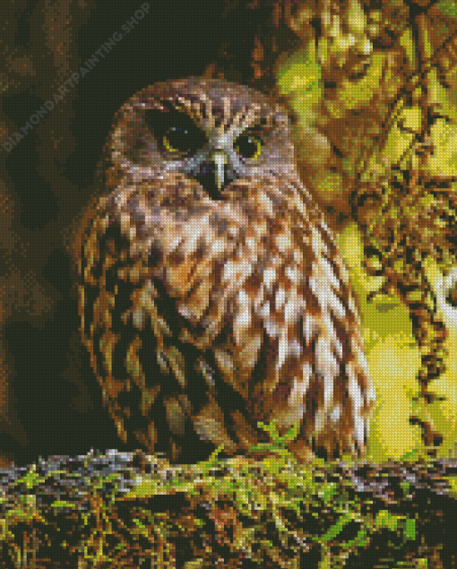 Cool Morepork Diamond Paintings