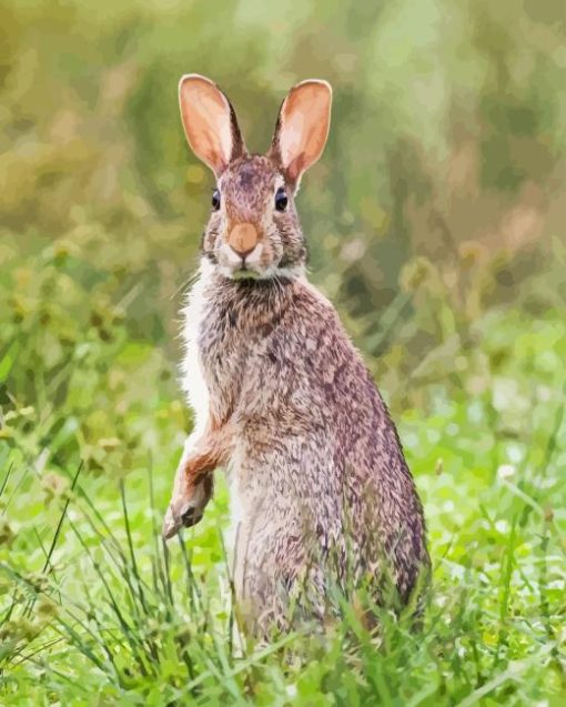 Cute Cottontail Rabbit Diamond Paintings