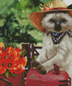 Cute Cat In Hat Diamond Paintings