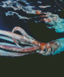 Giant Squid Diamond Paintings