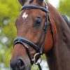 Horse With Bridle Diamond Paintings