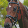 Horse With Bridle Diamond Paintings