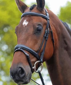 Horse With Bridle Diamond Paintings