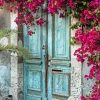 Door With Flower Diamond Paintings