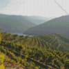 The Douro Diamond Paintings