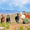 Wild Horses Diamond Paintings