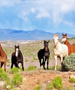 Wild Horses Diamond Paintings