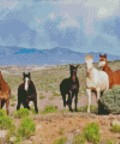 Wild Horses Diamond Paintings