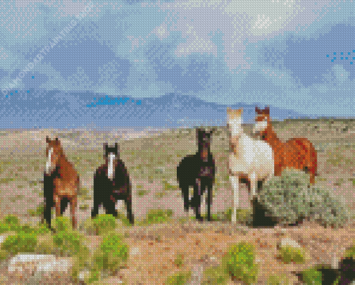 Wild Horses Diamond Paintings