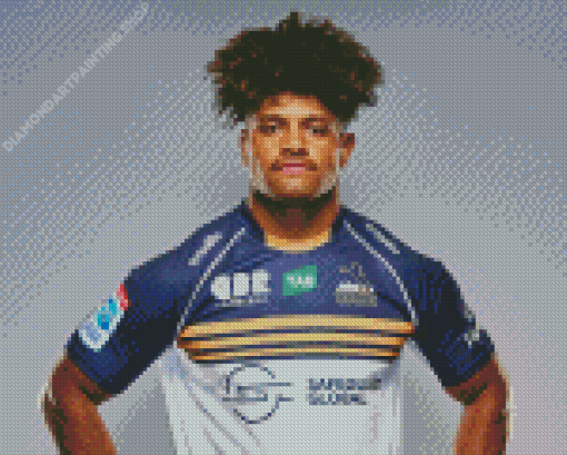 ACT Brumbies Player Diamond Paintings