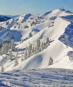 Alpine Meadows Diamond Paintings