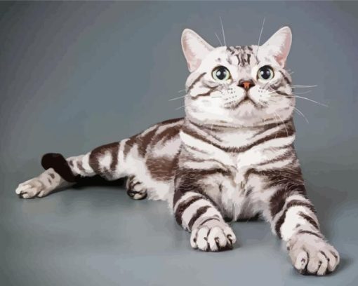 American Shorthair Cat Diamond Paintings