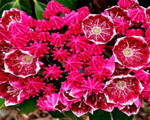 Mountain Laurel Diamond Paintings