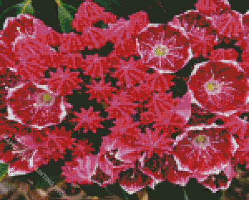 Mountain Laurel Diamond Paintings