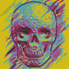 Bright Skull Art Diamond Paintings