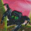 Tarantula Diamond Paintings