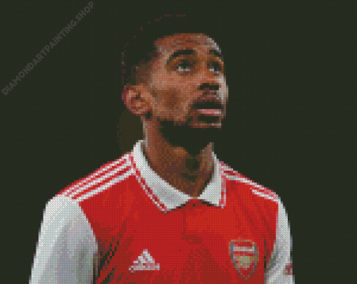 Reiss Nelson Diamond Paintings