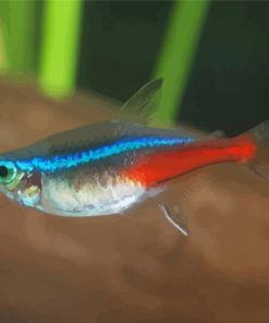 Neon Tetras Fish Diamond Paintings