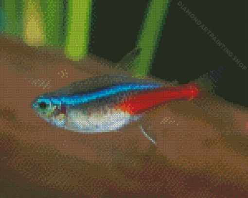 Neon Tetras Fish Diamond Paintings