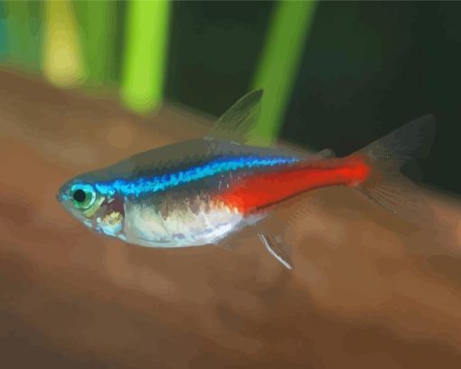 Neon Tetras Fish Diamond Paintings