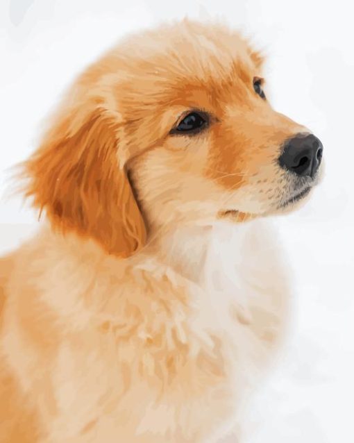 Cute Golden Retriever Diamond Paintings