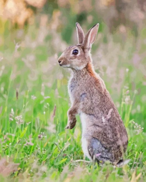 European Rabbit Diamond Paintings