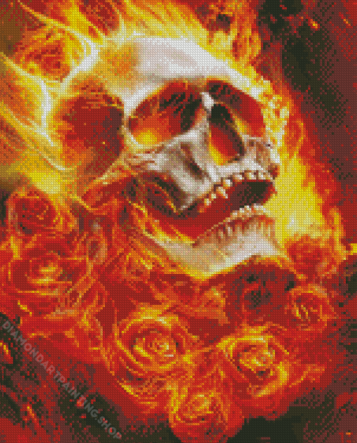 Flaming Skull Diamond Paintings