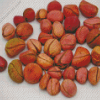 Kola Nuts Diamond Paintings