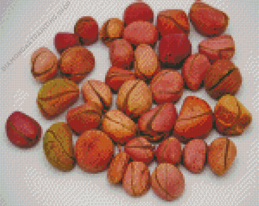 Kola Nuts Diamond Paintings