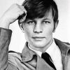 Michael York Diamond Paintings