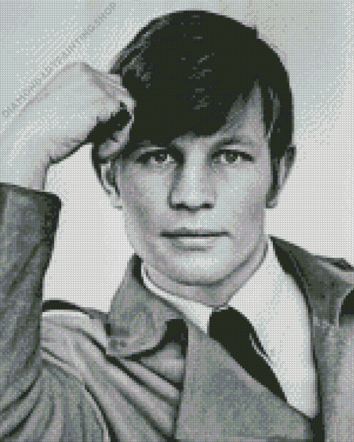 Michael York Diamond Paintings