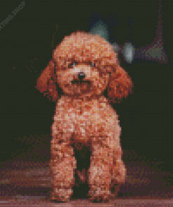 Miniature Poodle Diamond Paintings