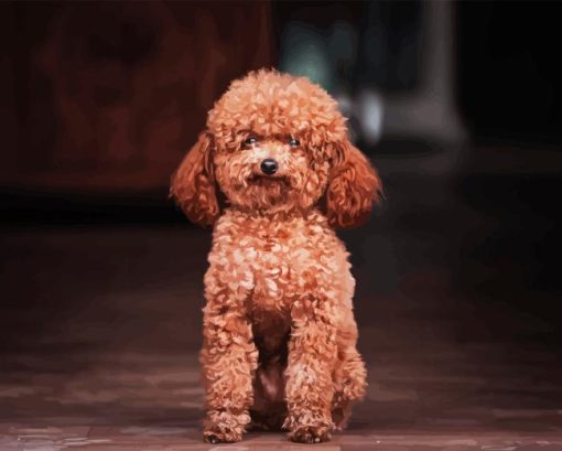 Miniature Poodle Diamond Paintings