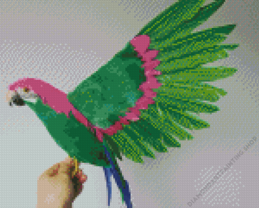 Green Parrot Bird Diamond Paintings