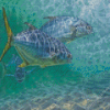 Pompano Fishes Diamond Paintings