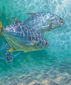 Pompano Fishes Diamond Paintings