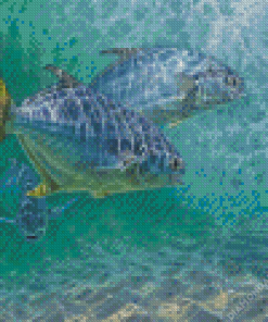 Pompano Fishes Diamond Paintings