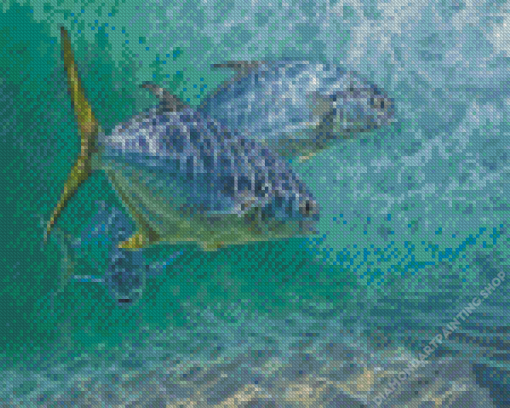 Pompano Fishes Diamond Paintings