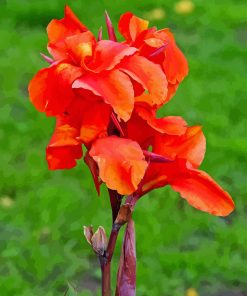 Canna Lily Flower Diamond Paintings