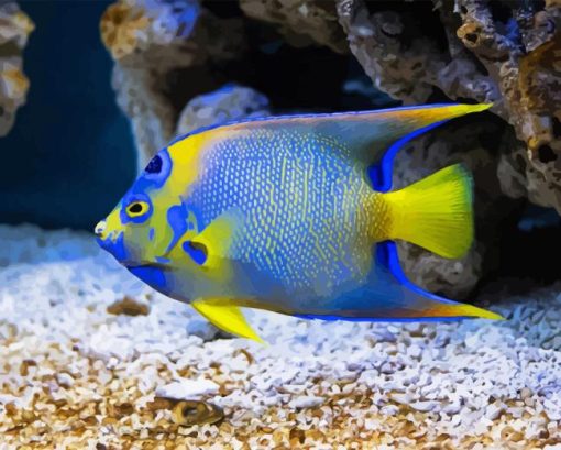 Saltwater Angelfish Diamond Paintings