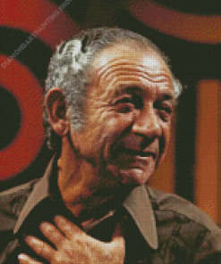 Sid James Diamond Paintings