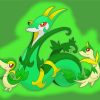 Snivy Evolution Diamond Paintings