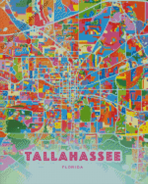 Tallahassee Poster Diamond Paintings