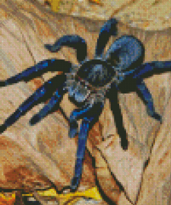 Tarantula Spider Diamond Paintings