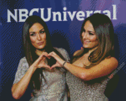 The Bella Twins Diamond Paintings