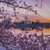 Thomas Jefferson Memorial Diamond Paintings