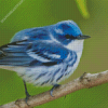 Cerulean Warbler Diamond Paintings